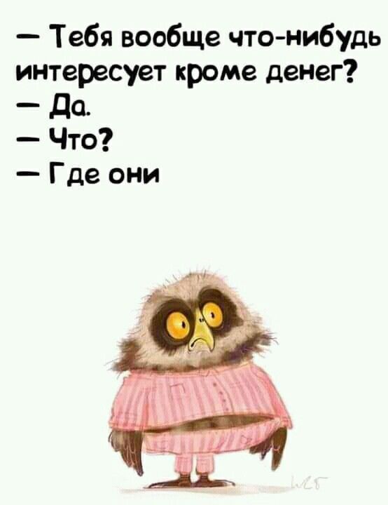 Задорные шутки с сарказмом 