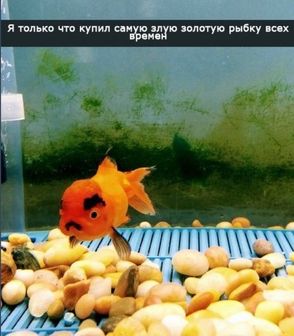 Фотоподборка четверга 