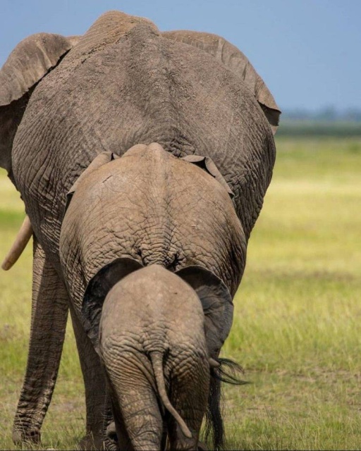 Шикарные фотографии и позитивные картинки из сети Шикарные фотографии и позитивные картинки из сети