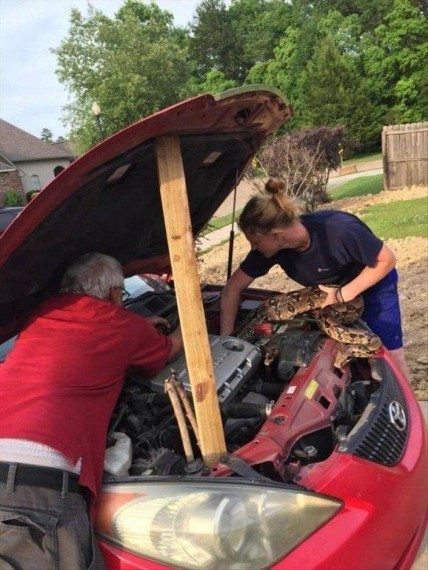 Забавная подборка дня Забавная подборка дня