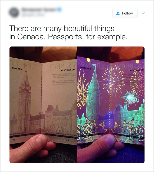 Вещи, которые можно встретить только в Канаде