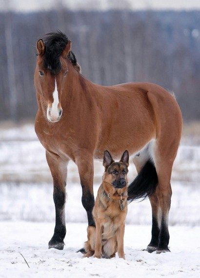 Позитив сплошь и рядом Позитив сплошь и рядом