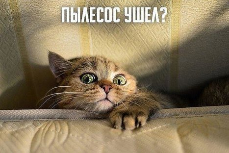 1080e20aff57bb3a143f1a83c87de55d (467x312, 119Kb)