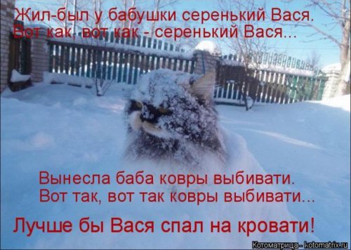 Новая котоматрица (36 фото)