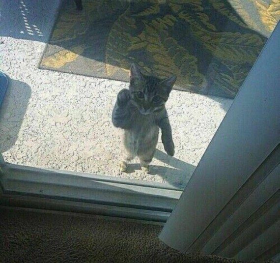 Позитив сплошь и рядом Позитив сплошь и рядом