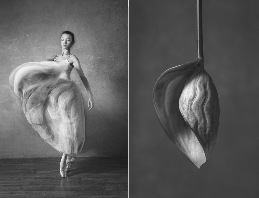 «Балерина и цветы» – серия о сходстве двух изяществ балет,интересное,фотография,цветы