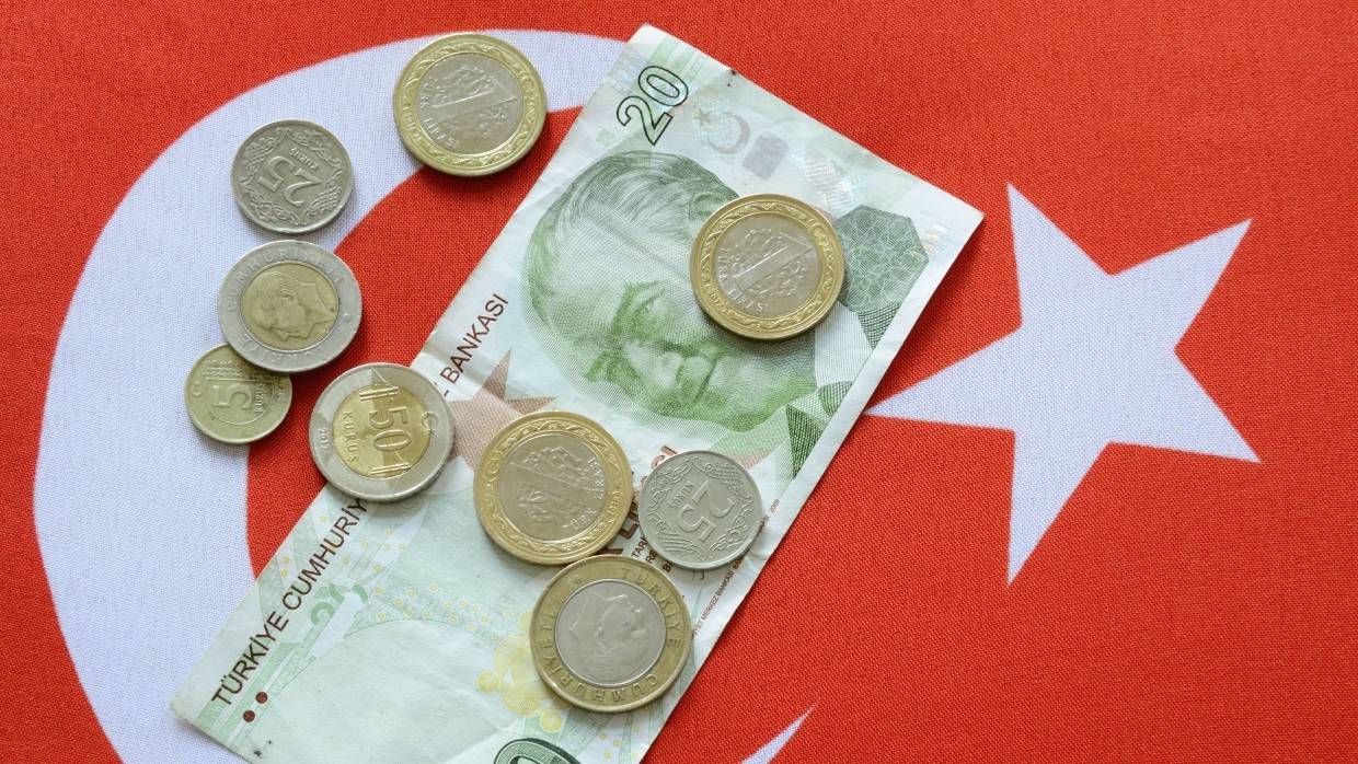 Экономист Скловец: рубль не пострадает из-за обвала турецкой лиры Экономика