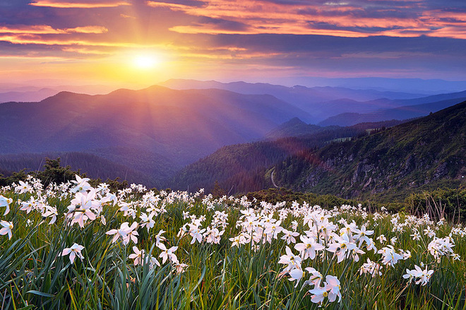 ТОП-7 самых красивых цветочных долине мира
