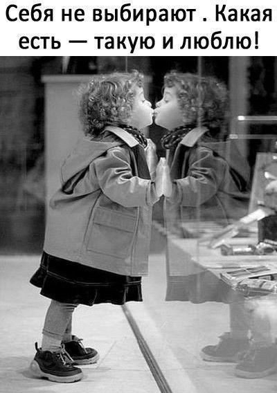 Задорные шутки с сарказмом 