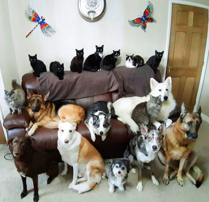 Последняя семья