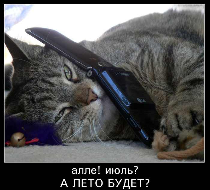 Картинки про холодное лето прикольные и смешные и ржачные до слез