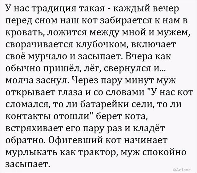 20 коротких историй из жизни с неожиданным финалом истории из жизни