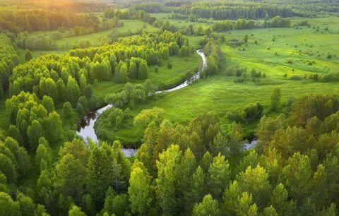 Реки Тульской области.