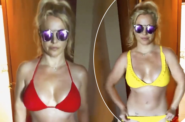 Бритни Спирс устроила дефиле в бикини во время отдыха на Гавайях Экстерьер