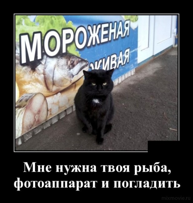 Классные, веселые и забавные демотиваторы из сети демотиваторы свежие,смешные демотиваторы,юмор