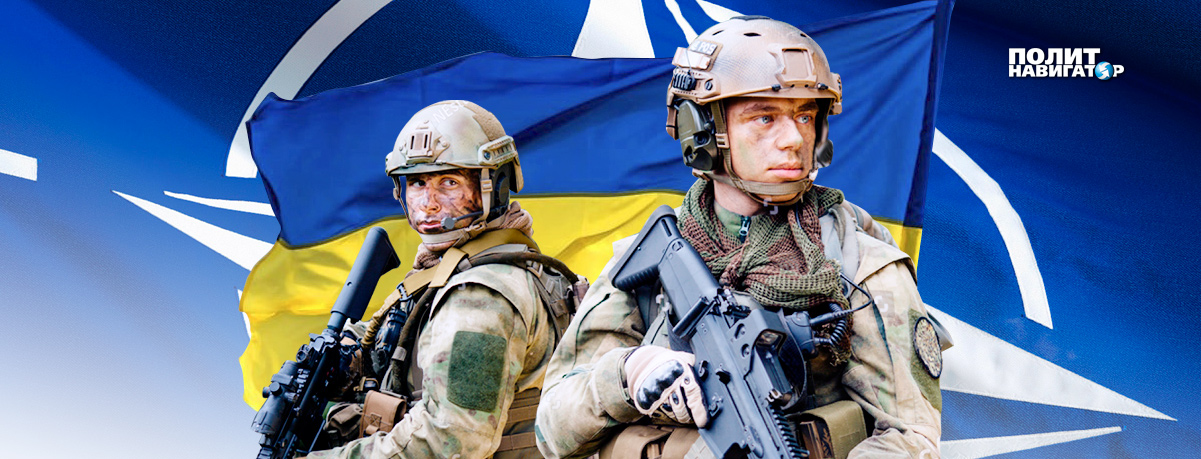 Украина намерена втянуть НАТО в войну с ЛДНР