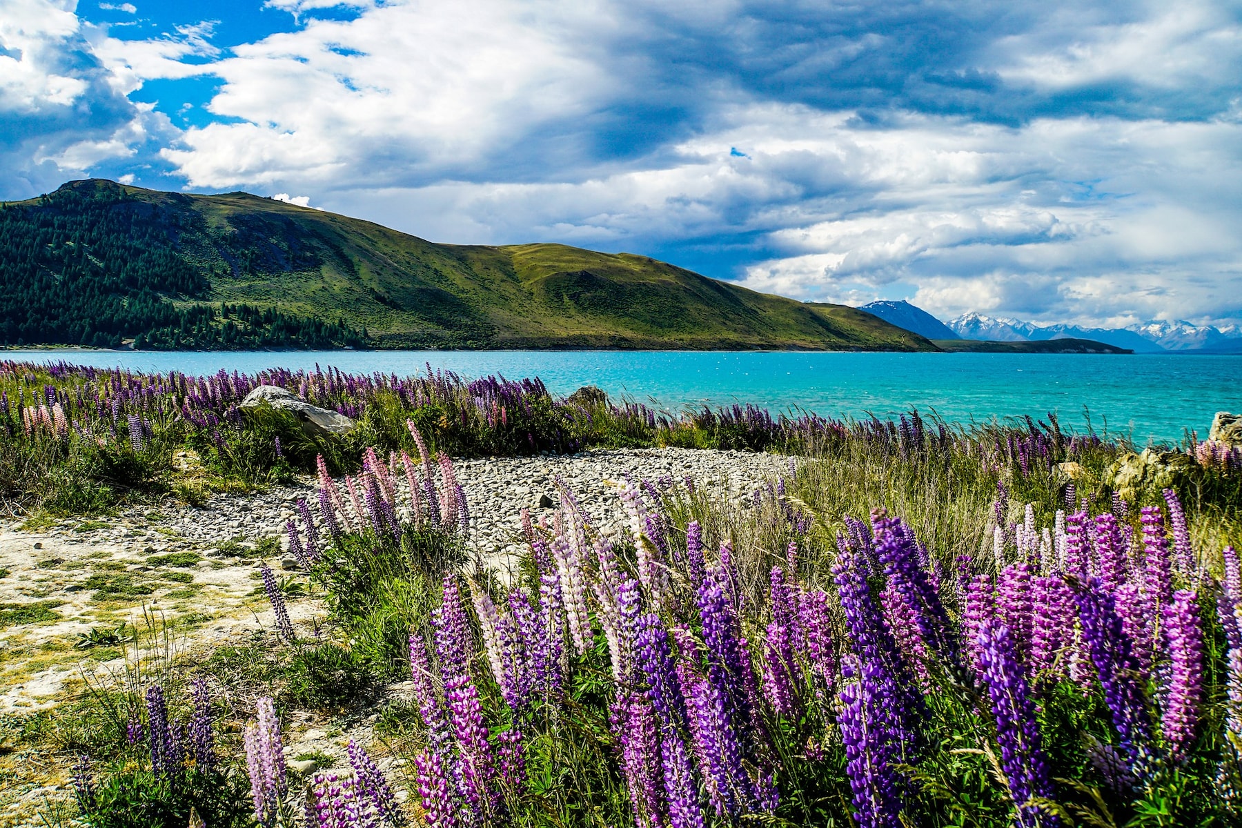Самые красивые страны мечты: Новая Зеландия 