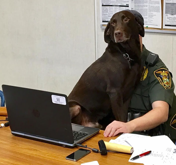 k-9-officer-dog-kissing-photo-kenobi-3