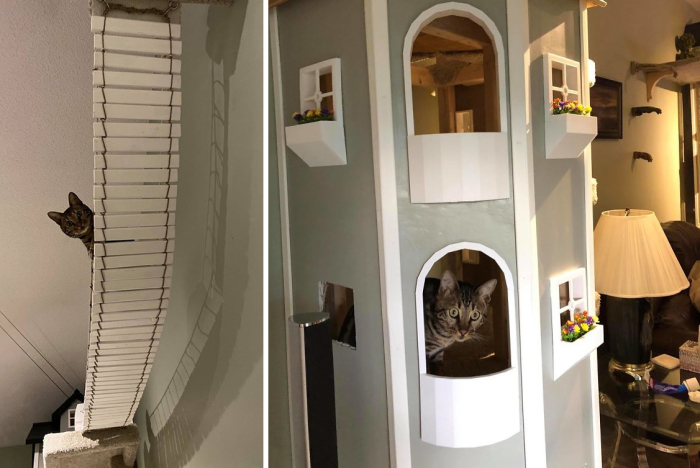 Американец построил в собственном доме целый город для кошек