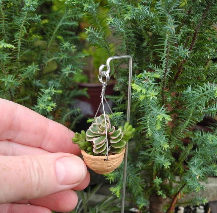 Практические идеи миниатюрных садов вдохновляемся,миниатюра