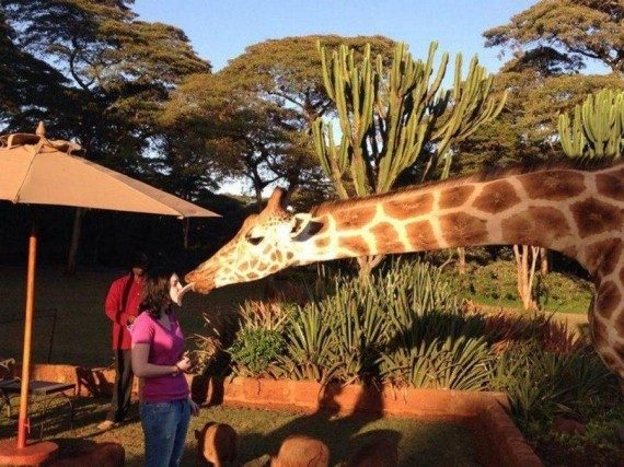 Позитив сплошь и рядом Позитив сплошь и рядом