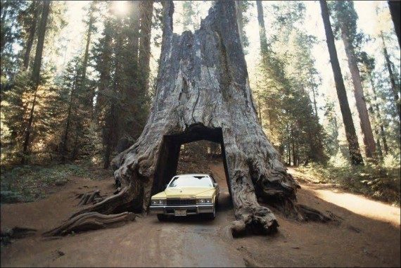 Позитив сплошь и рядом Позитив сплошь и рядом