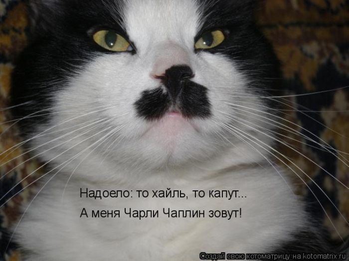 Мысли вслух :)