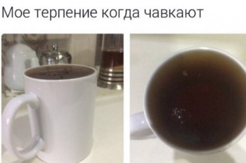 Свежие фотомемы для настроения (22 шт)