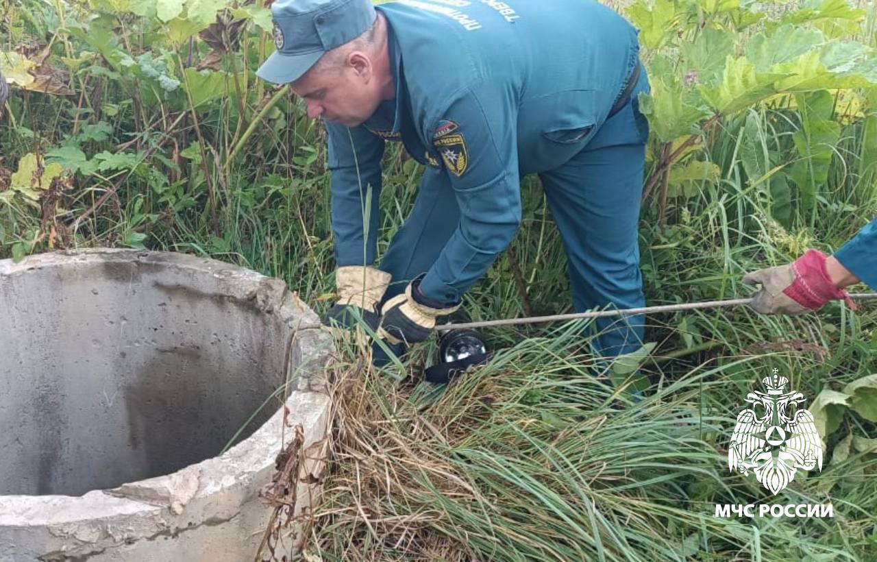 Жительница Тверской области оказалась на дне колодца во время сбора яблок