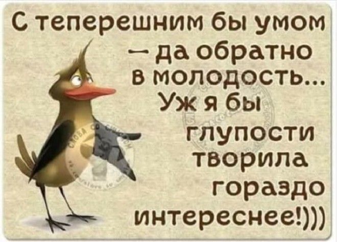 Надпись на заднем бампере: “Не биби, бибун!” анекдоты,демотиваторы,приколы,юмор