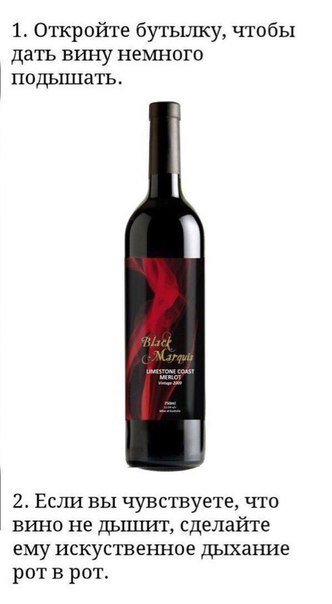 Весёлые фотомемы Весёлые фотомемы