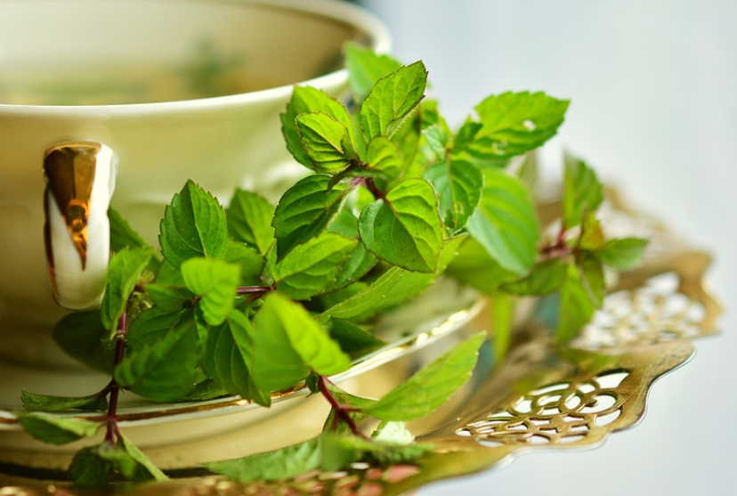 Нервная система после 40 лет нуждается в поддержке