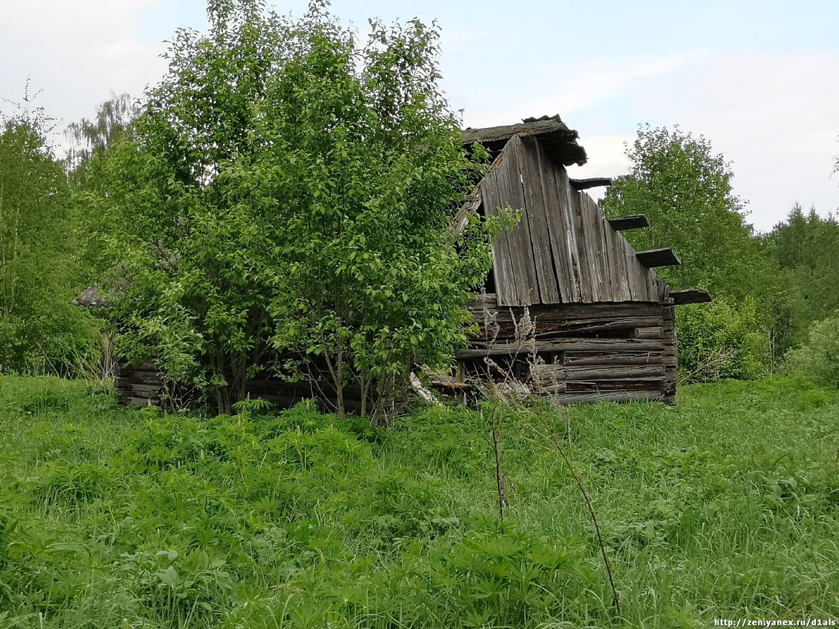 Брошенная и забытая Россия