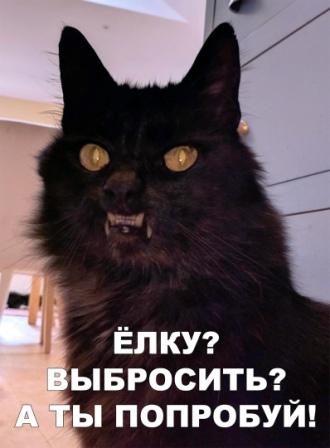 Забавные картинки и смешные фото приколы с надписями Забавные картинки и смешные фото приколы с надписями ржачные фото с надписями