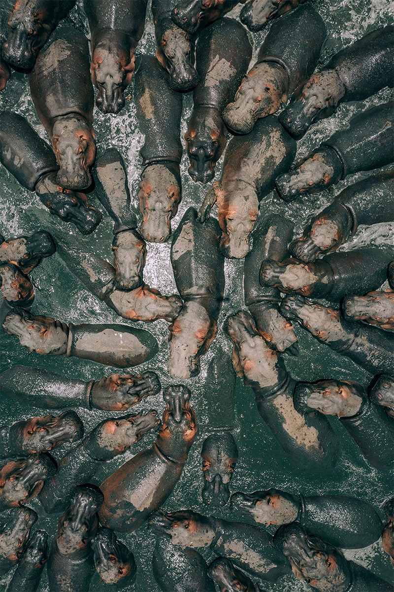 "Невозможные" фото, сделанные с помощью дронов: победители конкурса SkyPixel "Невозможные" фото, сделанные с помощью дронов: победители конкурса SkyPixel рассказы