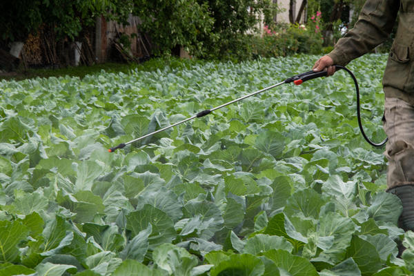 �������� ������������, �������� ��������� � ���, �� ���� ������ ��������� ���������� ������� �����