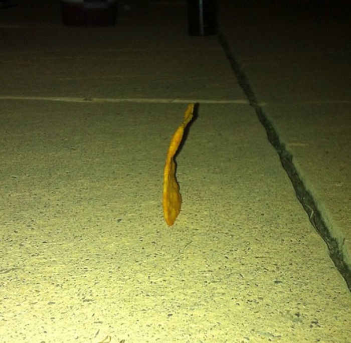 I Threw A Dorito On The Ground And It Landed On Its Side