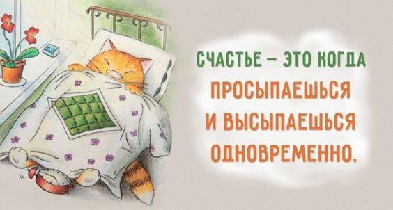25 классных анекдотов и шуток. Заряд позитива на весь день 25 классных анекдотов и шуток. Заряд позитива на весь день