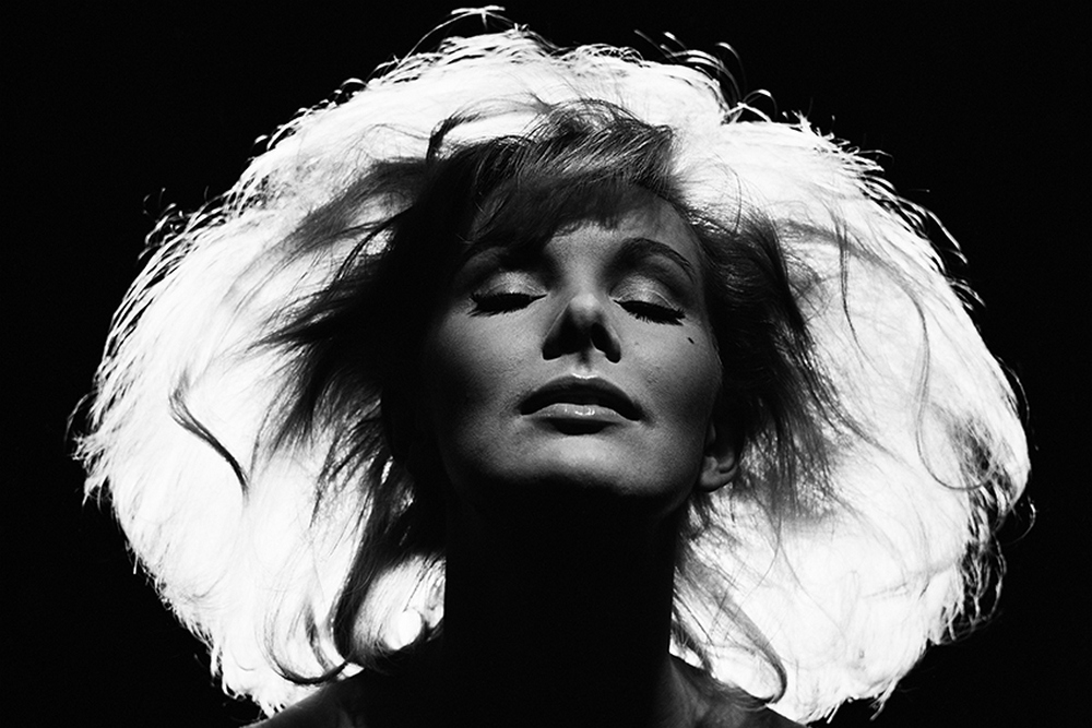 Птицы Британии 