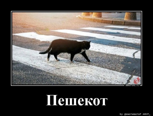 Демотиваторы свежие, прикольные: «Отвлекитесь от Интернета…» Демотиваторы свежие, прикольные: «Отвлекитесь от Интернета…»