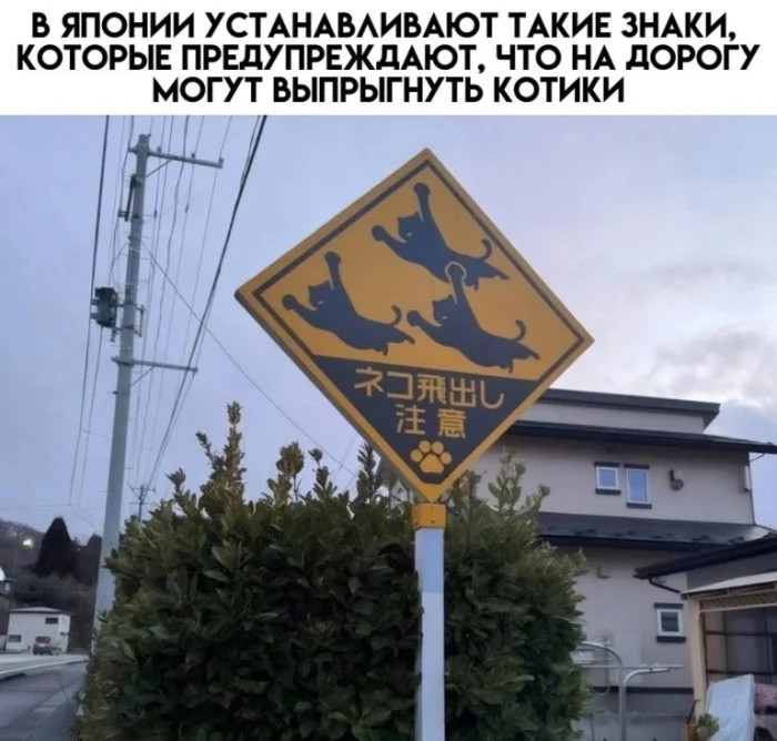 Интернет мемы на утро пятницы и Старая Зеландия 