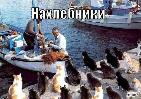 add40325e5d5dc32209f4e921950a990 (467x328, 161Kb)