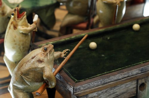 Необычный Музей лягушки в Швейцарии с неожиданными экспонатами 