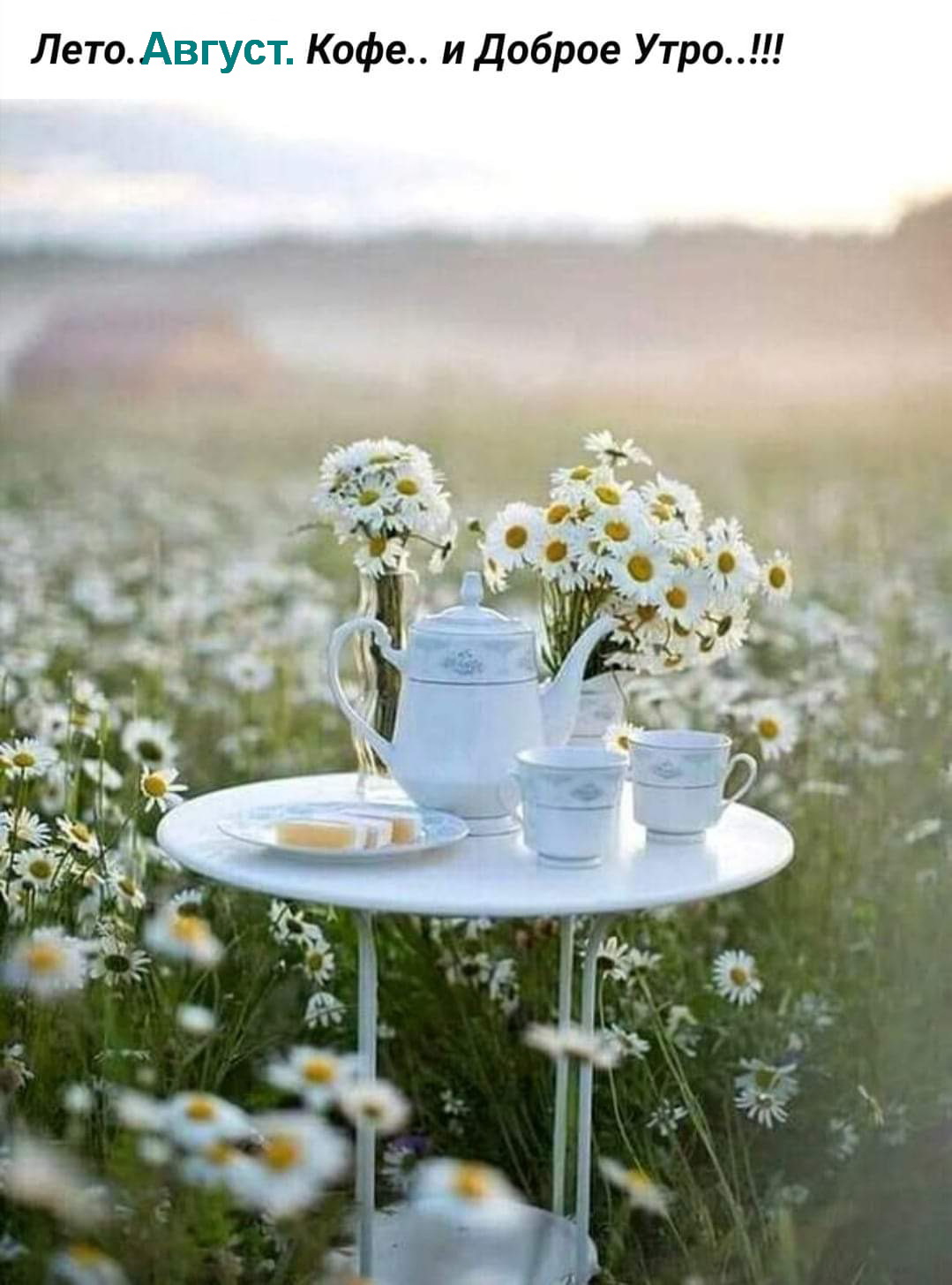 Отличные шутки и классные анекдоты Отличные шутки и классные анекдоты