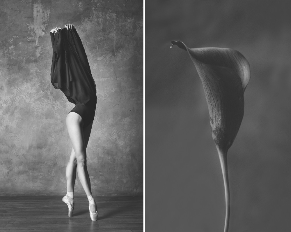«Балерина и цветы» – серия о сходстве двух изяществ балет,интересное,фотография,цветы