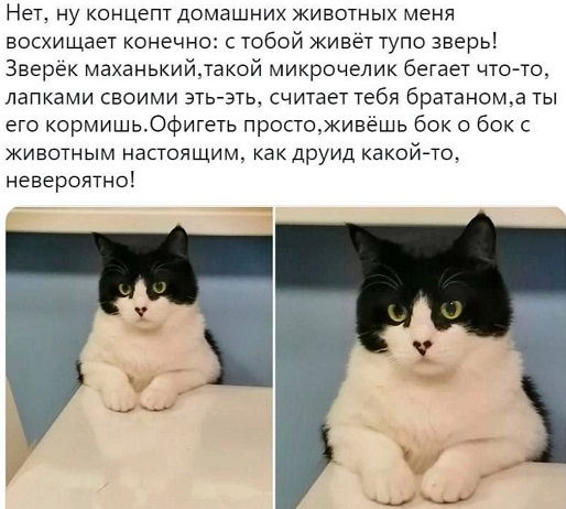Если о твоих гадостях никто не узнает, то ты не только избежишь всех неприятностей, но и не получишь никакого удовольствия Если о твоих гадостях никто не узнает, то ты не только избежишь всех неприятностей, но и не получишь никакого удовольствия чтобы, только, квартире, говорит, пятно, книги, сосиски, появилось, процесс, Давай, стоит, снова, точно, машину, жилец, читать, после, через, черное, нужно