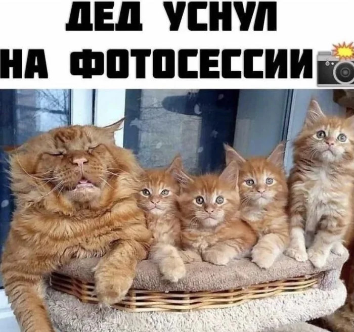 Интернет мемы на утро пятницы и Старая Зеландия 