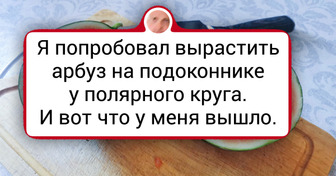 18 волшебников, которые вырастили на подоконнике такое, что просто диву даешься