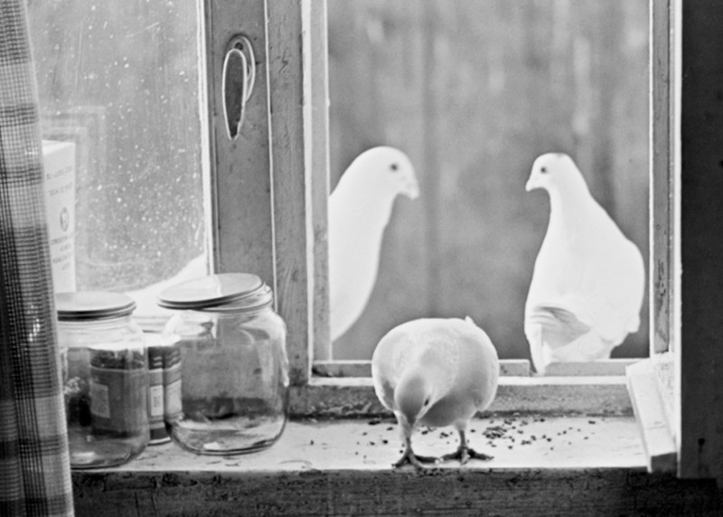 Черно-белая ностальгия от Игоря Пальмина фото старина