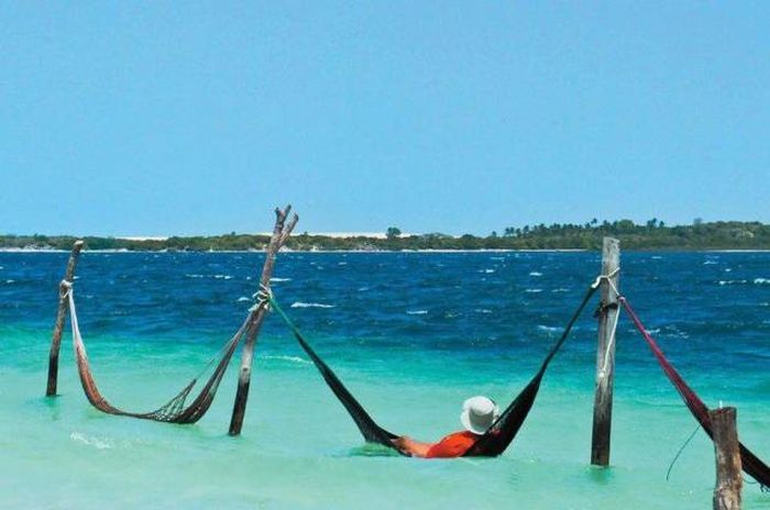 Подборка картинок. Вечерний выпуск (53 фото)